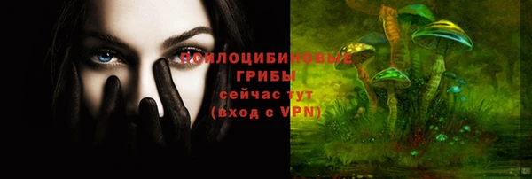 соль ск Алзамай