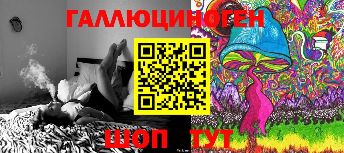 Псилоцибиновые грибы мухоморы  Вход с VPN  как найти   Борзя  Галлюциногенные грибы Psilocybe 